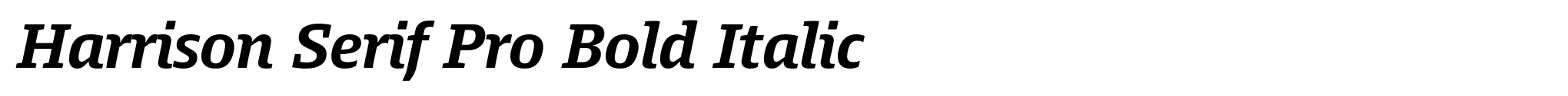 Harrison Serif Pro Bold Italic image